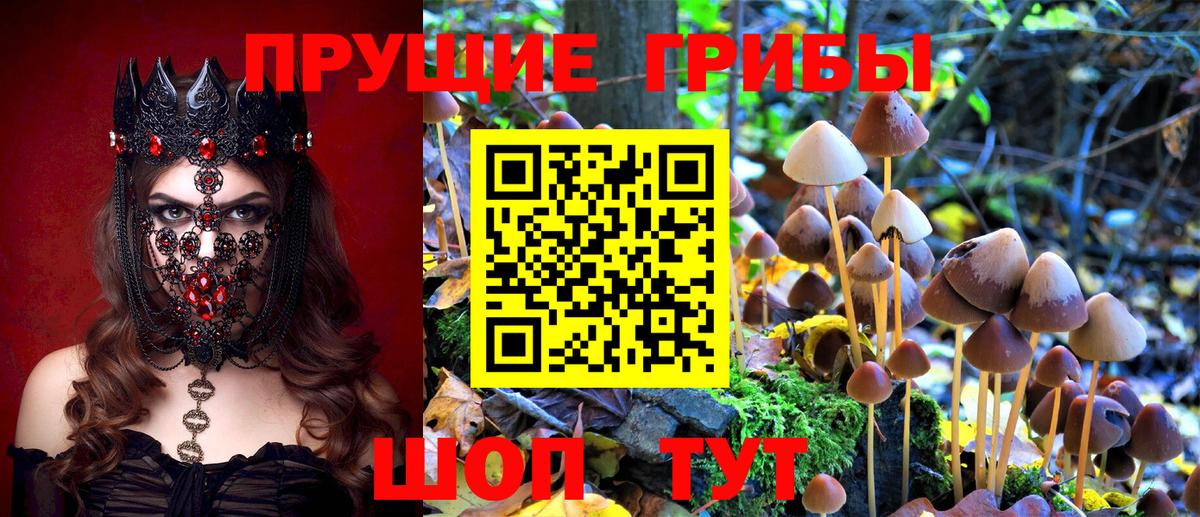 Псилоцибиновые грибы мухоморы  Вход с VPN  Гулькевичи 
